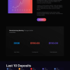 Responsive HYIP Template – 208